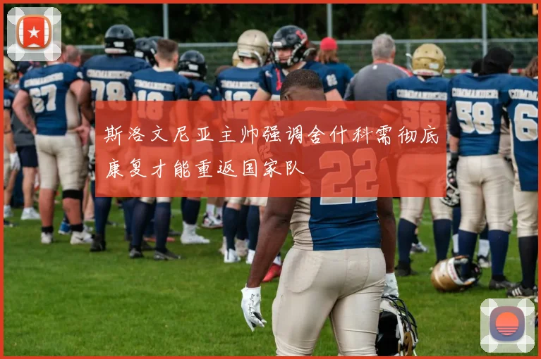 斯洛文尼亚主帅强调舍什科需彻底康复才能重返国家队